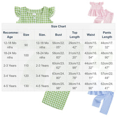 Baby Girls Summer 2 Piece Outfits Ruffle Sleeve Button up Tops Plaid Pants Spring Toddler Girl Clothes